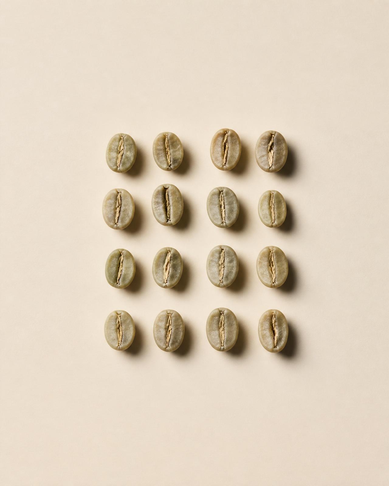 Green coffee beans arranged in a precise grid on cream paper